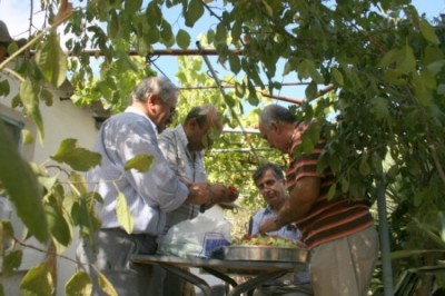 BAYRAMİÇ KÖYÜNDE BALIK ZİYAFETİ