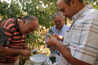 BAYRAMİÇ KÖYÜNDE BALIK ZİYAFETİ